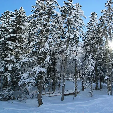 Appartement Pre De Camille - Spacieux Avec Balcon, Terrasse Et Garage Proche Du Centre De Mae-8664