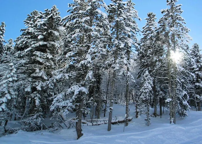 Apartment Pre De Camille - Spacieux Avec Balcon, Terrasse Et Garage Proche Du Centre De Mae-8664 Barèges